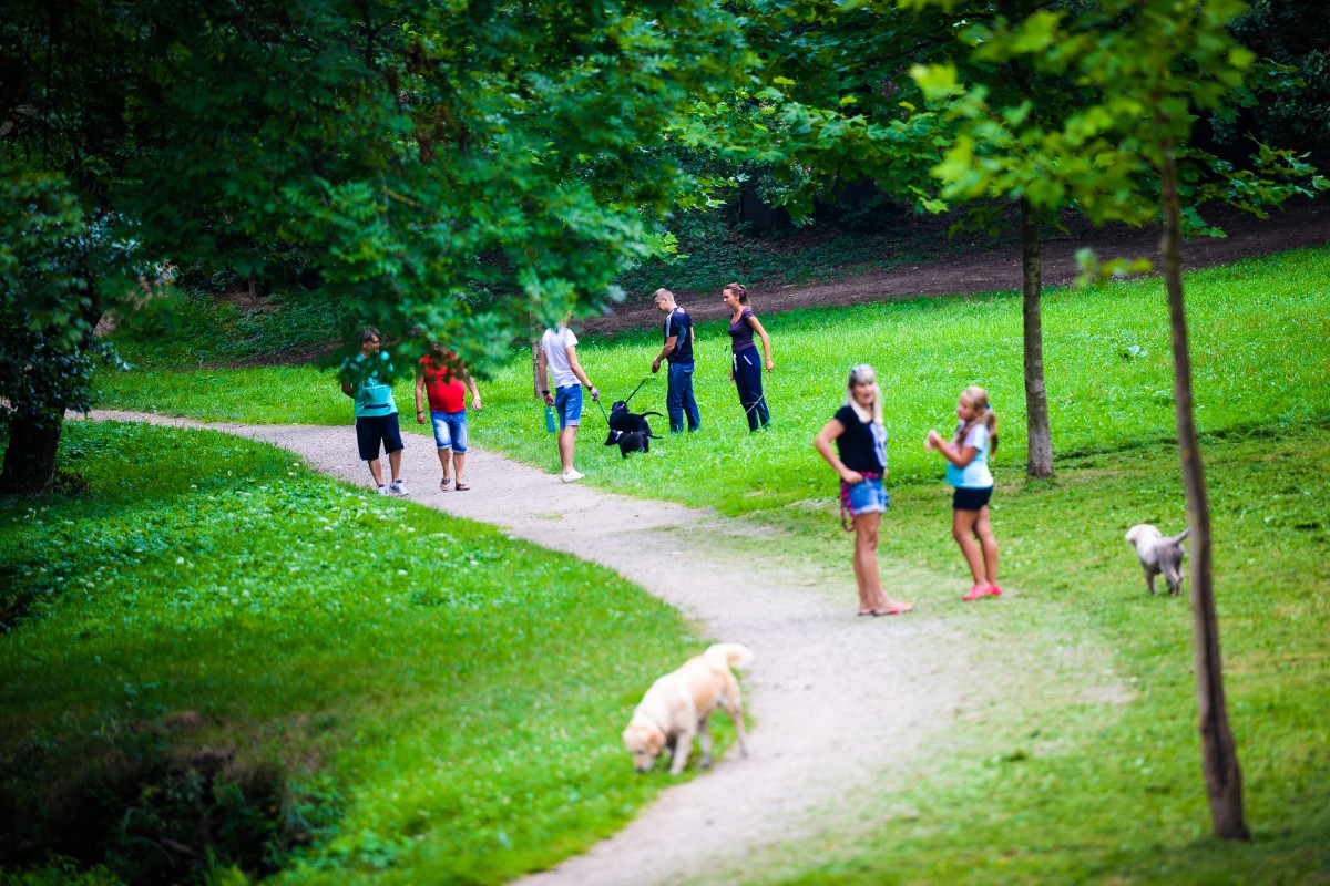Parcul Sub Arini intră în lucrări: 1,8 mil. de lei investite în iluminat eco, internet WiFi, poduri iluminate în albastru, senzori de mișcare în locurile de joacă