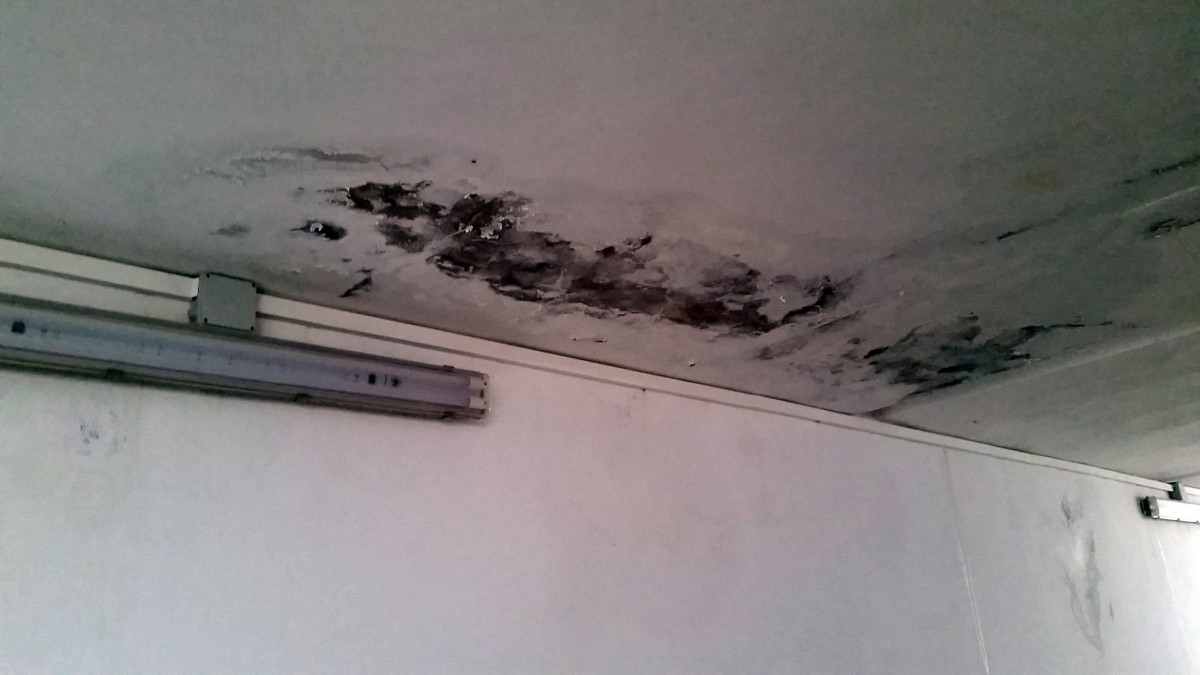 FOTO - Treabă românească. Pereții pasajului de la Gară deja s-au scorojit