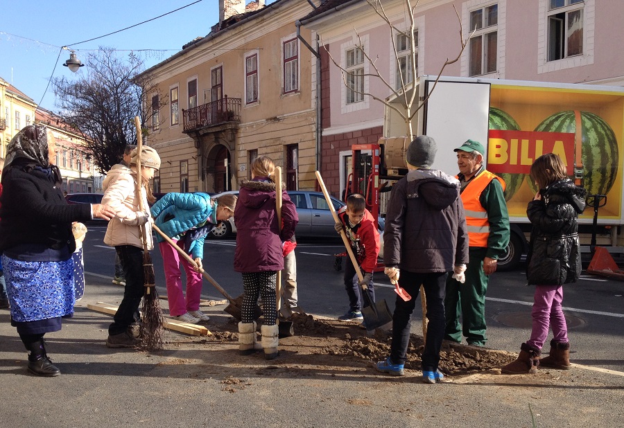 Elevii Școlii nr. 2 au replantat copacii din centrul Sibiului | Foto