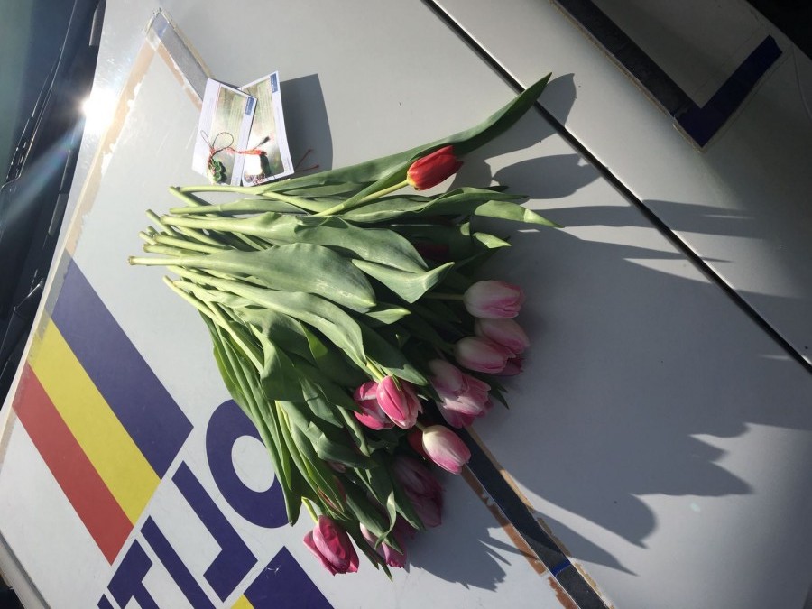 Polițiștii sibieni au oferit flori în trafic, dar și la Maternitate, de 8 martie