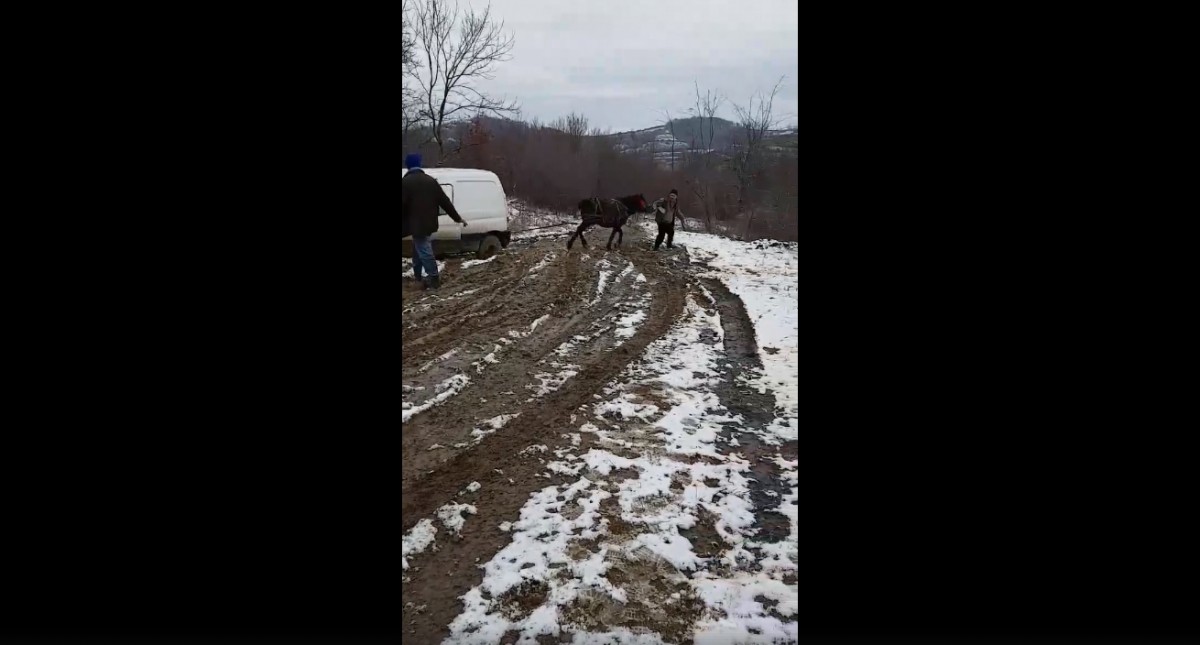 Se întâmplă în Sibiu. Mașină scoasă cu calul din mocirlă VIDEO