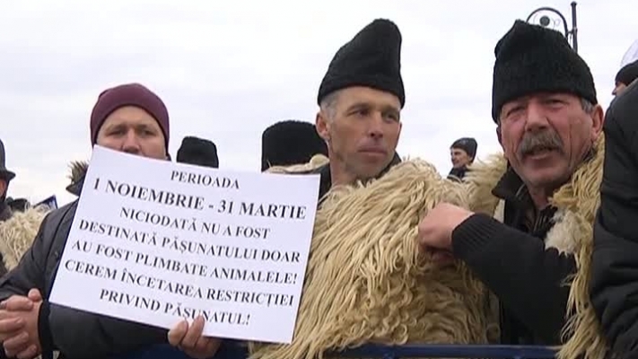 Protest în faţa Parlamentului: Mii de crescători de oi din toată ţara reclamă modificările aduse Legii vânătorii. Incidente au avut loc între jandarmi şi ciobani