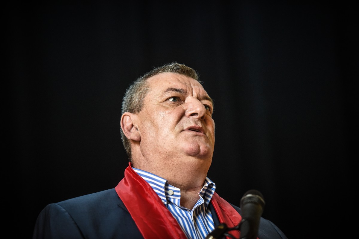 Terea se opune Ordonanței 51, privind pedepsele pentru hoții de lemne. ”Nu găsim calea de mijloc”