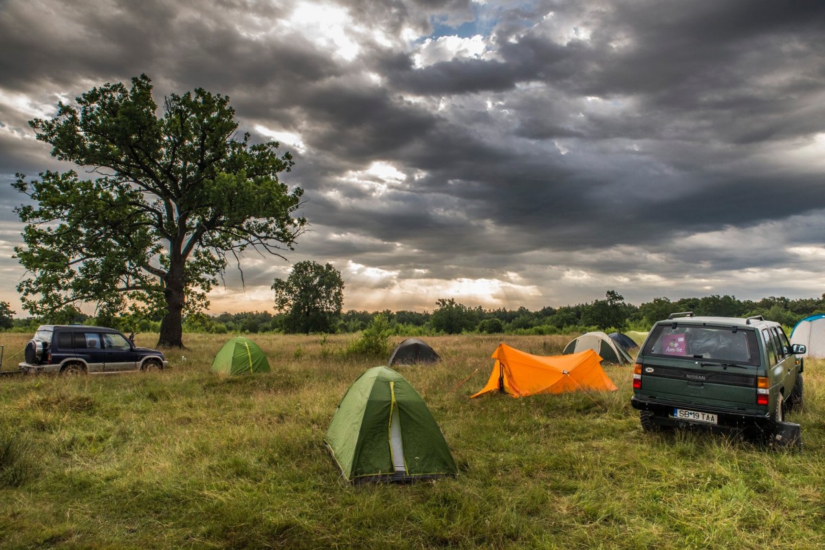 Festival de îngrijit puieți. Cu Verdele-n SUS merge la Arpașu cu cortul