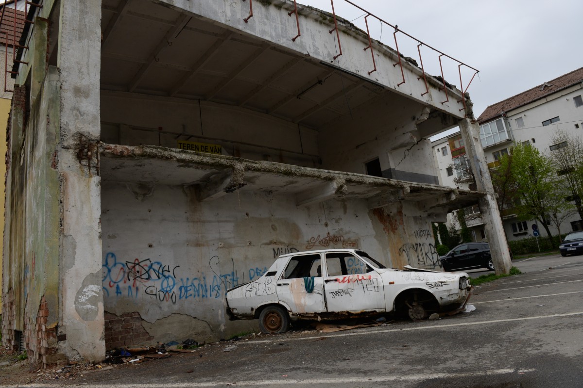 Interesați de rable? Primăria scoate 18 la vânzare