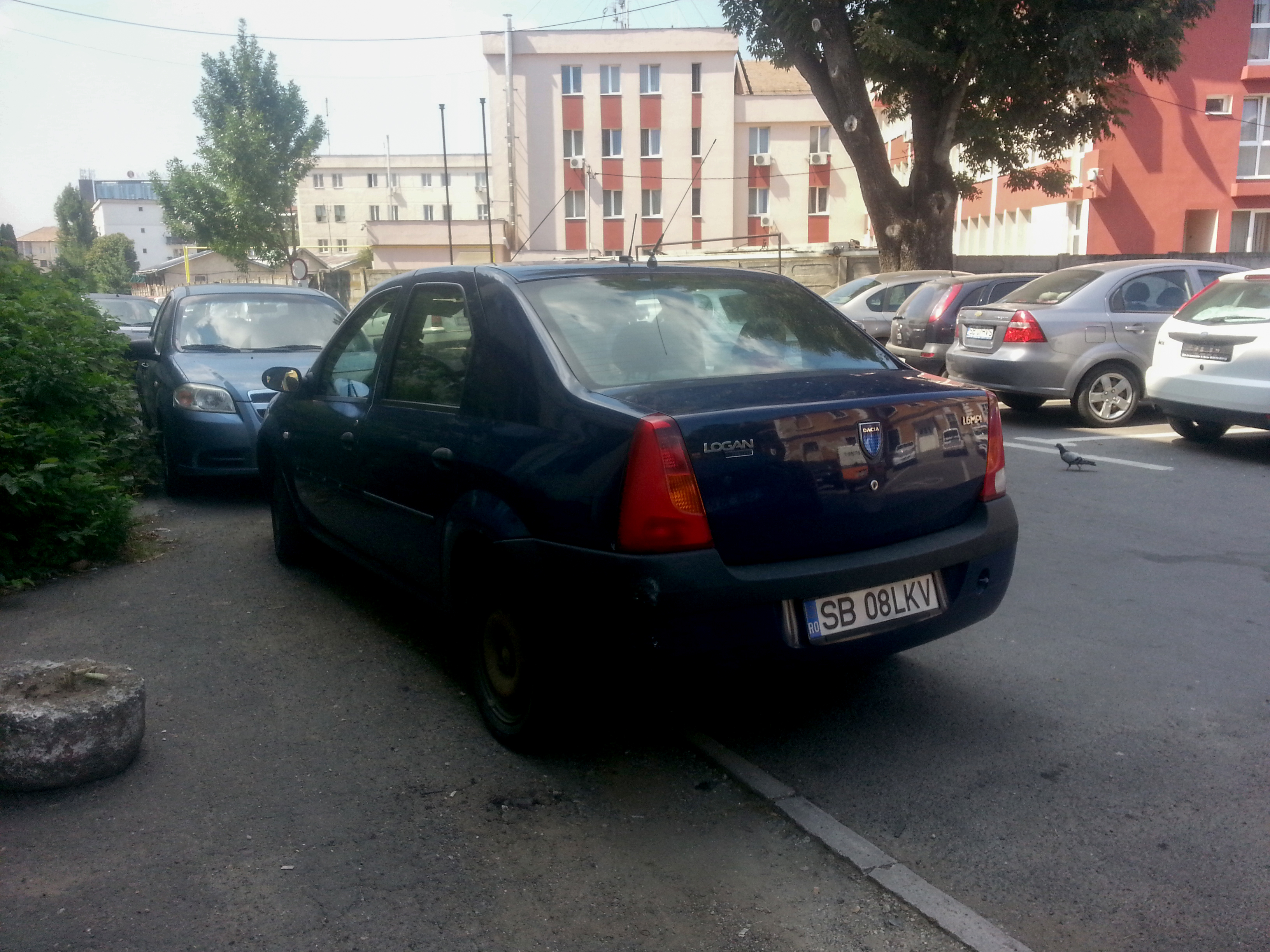 SB 08 LKV. Dacă l-ai văzut pe marginea drumului e prea târziu