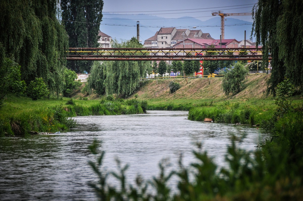 Toți sibienii sunt așteptați sâmbătă să ajute la ecologizarea Cibinului