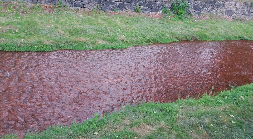 Pârâul Negru din Săliște a devenit roșu. Nimeni nu-și explică