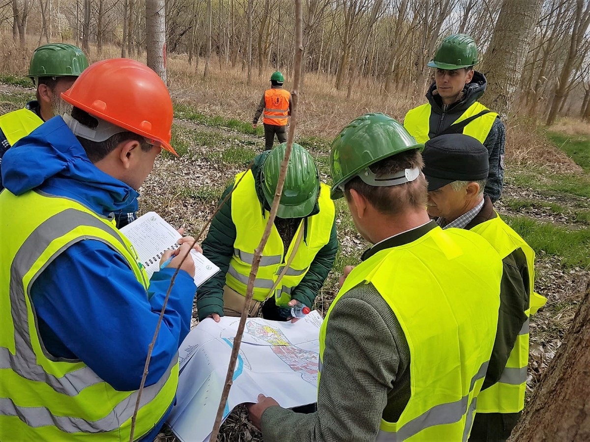 Standardul de certificare a managementului forestier al Romsilva, reconfirmat de auditori