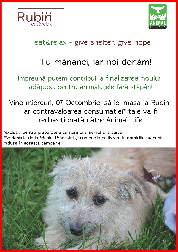 Adăpostul Animal Life susținut de un restaurant sibian. Servește masa la Rubin și banii vor fi donați pentru finalizarea noului adăpost