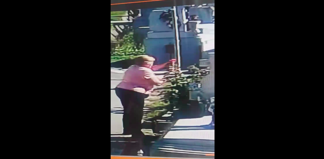 Ca la noi, la nimeni: Sibiancă surprinsă furând flori de la mormântul unui copil VIDEO