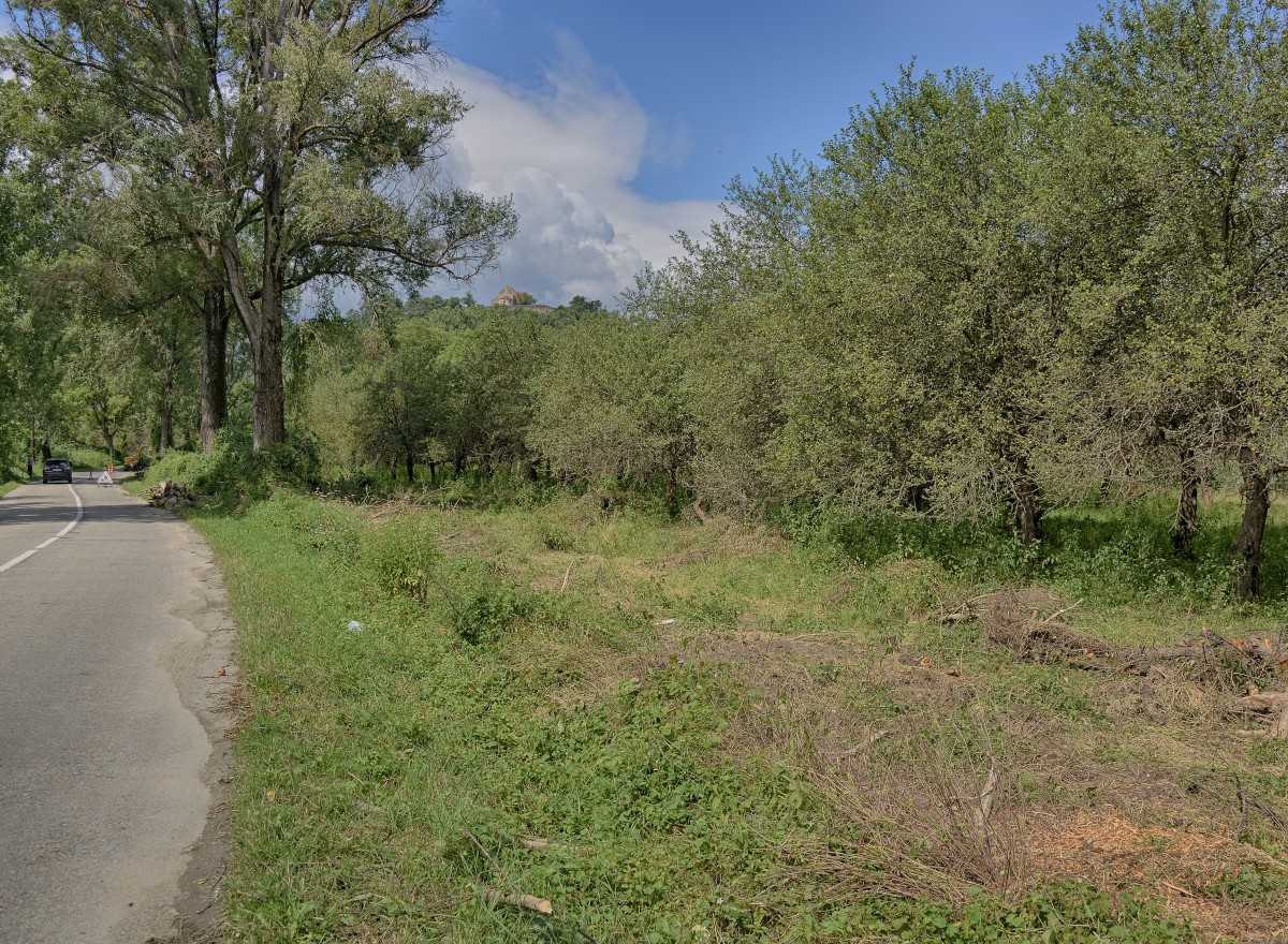 FOTO Opinie împotriva pistei de biciclete Sibiu – Cisnădie. ”Oameni cu «Stiehl» au masacrat arborii”