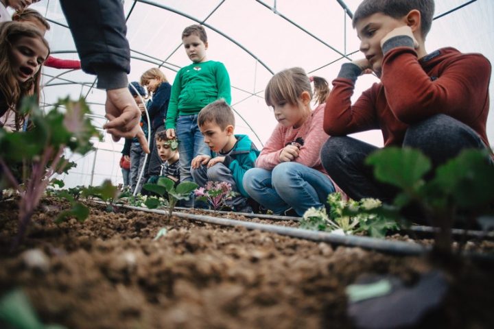 Proiectele maratonului. (18) S.E.R.A. „Putem fi educați și sănătoși în același timp”