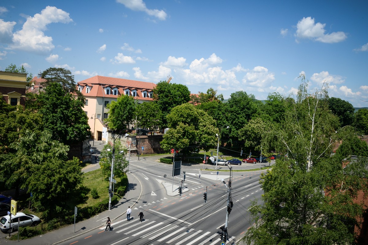 Primăria a angajat o firmă pentru toaletarea arborilor din oraș
