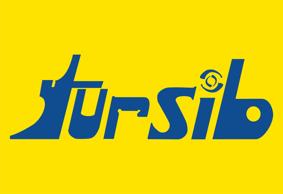 TURSIB scoate la vânzare un imobil – teren situat în  Calea Dumbravii