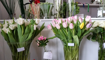 Pregătiri de 8 martie, la Sibiu. Lalele, zambile și frezii în orice buchet