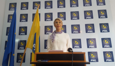 Raluca Turcan, despre problema urșilor călcați de mașini: „Vom face o serie de propuneri către Raed Arafat”