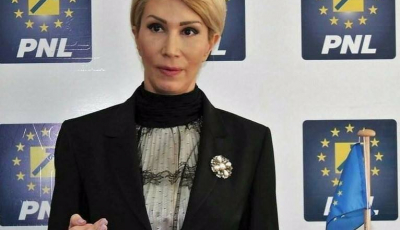 Turcan: ”În România, crima organizată dă o lovitură de stat”
