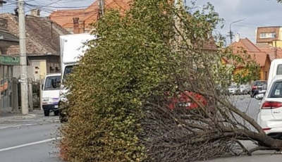 Rafale de vânt de aproape 70 km/h provoacă probleme în tot orașul | FOTO