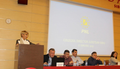 Planul PNL pentru 2019: Câștigăm europarlamentarele și Iohannis, un nou mandat de președinte
