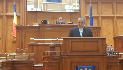 Neagu: Guvernul PSD refuză fondurile europene pentru că nu pot fi sifonate
