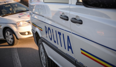 Educația și reputația. Hoți cu maxim 8 clase, pe Valea Avrigului