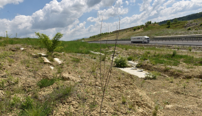 Toaletele autostrăzii “de nisip“ a Sibiului, scoase la licitație: 1,13 milioane de lei, bugetul alocat
