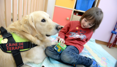 Aksel, câinele care a adus zeci de copii cu autism la lumină, este în stare gravă