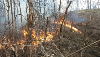 Incendiu de pădure la Mălăncrav. Pompierii se luptă cu flăcările de 16 ore