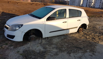 Primăria Iași promite 500 de euro pentru cei care vor să scape de rable. În Sibiu se scot la vânzare...