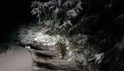 Zăpadă ca-n povești la Păltiniș. Câțiva turiști au surprins peisajul | VIDEO