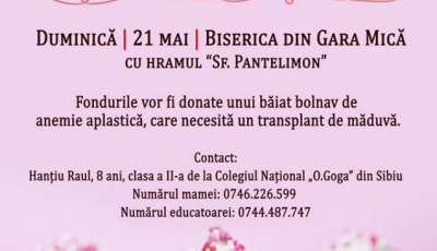 Tinerii din Sibiu vând prăjituri pentru a strânge bani să ajute un copil bolnav