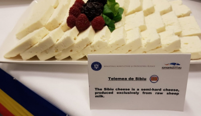 Telemeaua de Sibiu, în Jurnalul Oficial al UE: când se va întâmpla acest lucru