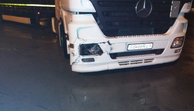 VIDEO „Situația pare ieșită de sub control în Sibiu”. Încă un urs pe autostradă: a trecut pe lângă zece oameni și a fost lovit de un TIR