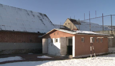 Școli din Sibiu cu grupuri sanitare în curte. IȘJ: „Sunt în stare foarte bună”
