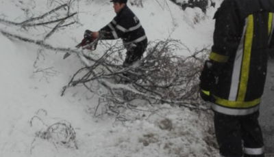 Trafic blocat total pe Valea Oltului. Se eliberează drumul de crengi căzute