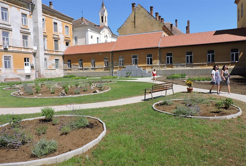 Proiectele maratonului. (11) Televiziune pentru Spitalul de Psihiatrie