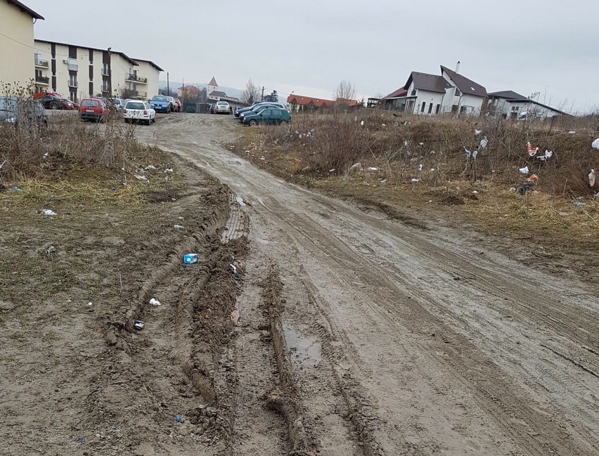 VIDEO Cartierul în care dusul gunoiului a devenit o problemă: “nici cu mașina nu putem merge“