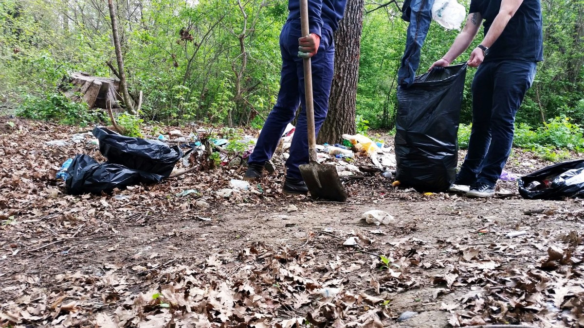 Curăţenie în parcul Sub Arini: 11 oameni, 35 de saci de gunoi, în două ore