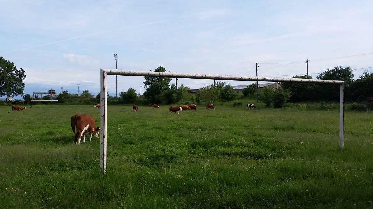 FOTO – Sibiu sat frumos: Cea mai mare pășune din Sibiu ar putea fi stadion de fotbal