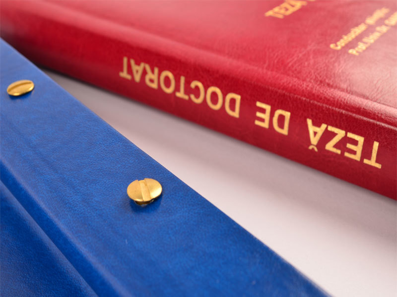 Persoanele care au dobândit titlul de doctor după 1 ianuarie 2010 vor primi sume compensatorii