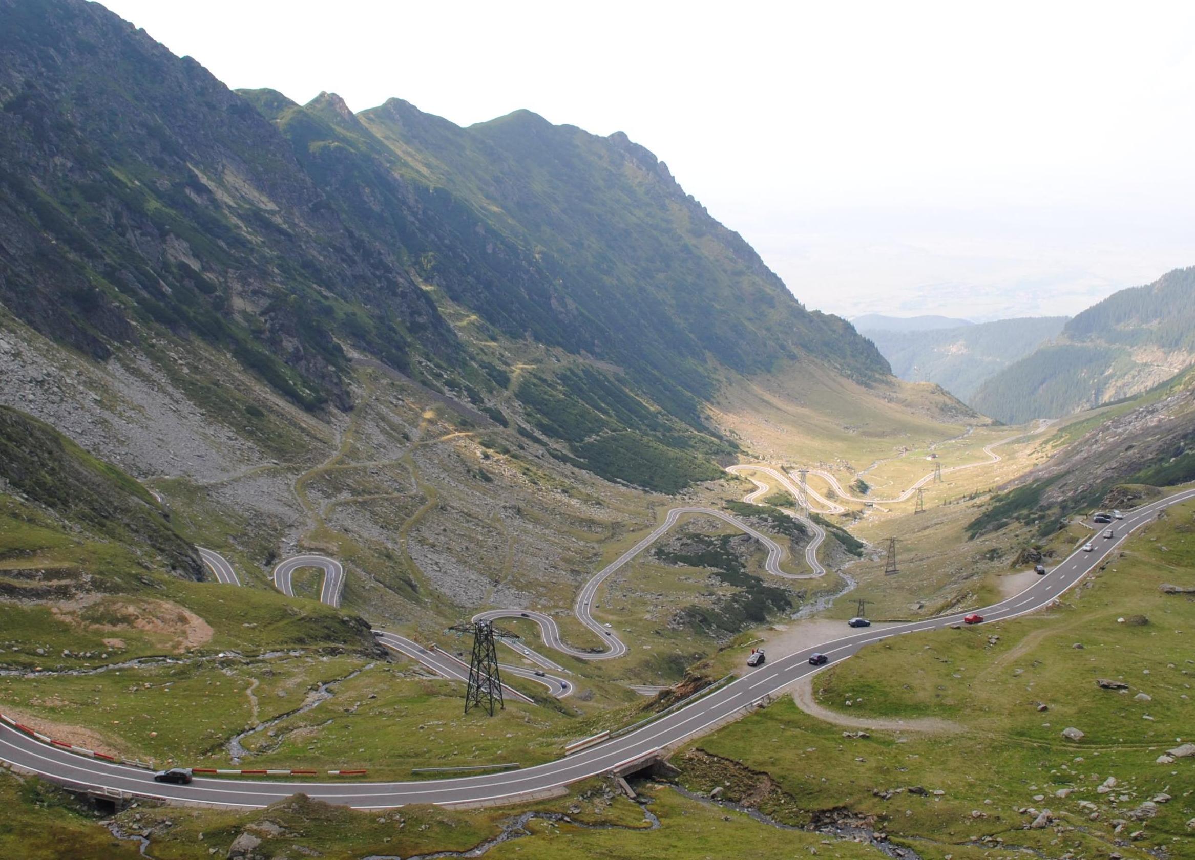 O turistă germană a suferit un  grav accident cu bicicleta, pe Transfăgărășan. Din cauza unor porci ieșiți în șosea