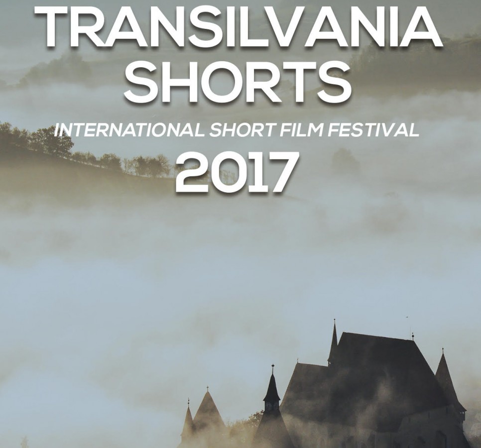 Festivalul Internațional de Scurtmetraje de la Sibiu. „Filmele selectate sunt promovate”
