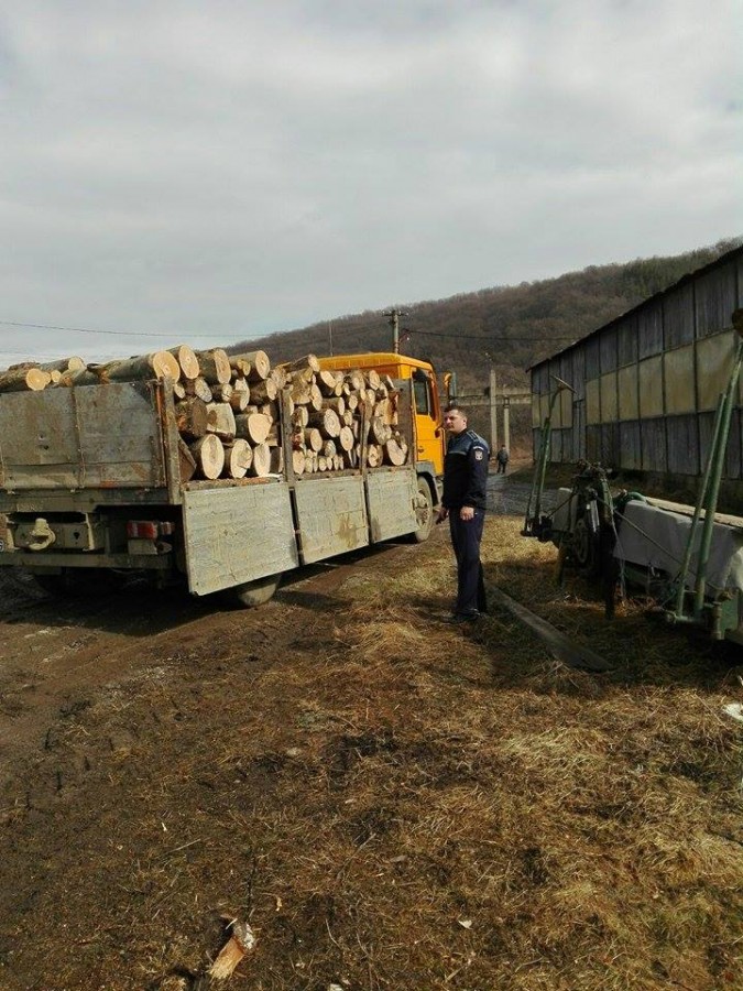 Transport ilegal de lemne. 6.000 de lei amendă