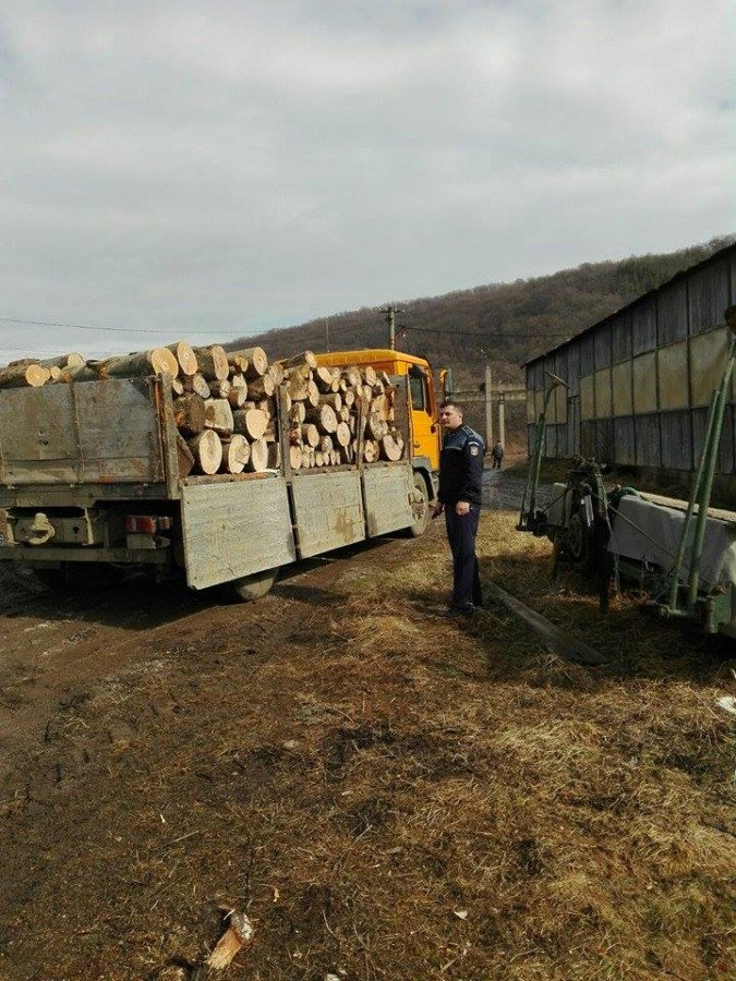 16.000 lei amendă pentru un transport ilegal de lemne, la Gura Rîului