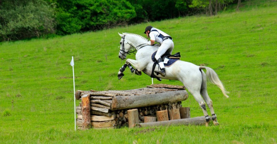 Record de înscrieri la Transylvania Horse Show: în doar 72 de ore s-au epuizat toate locurile
