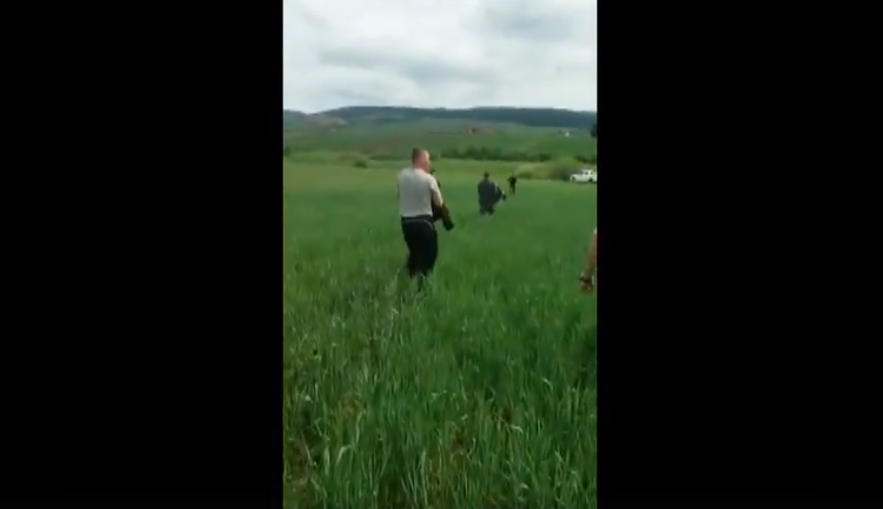 VIDEO. O ursoaică agitată, ajutată de jandarmi să-şi găsească puii pierduţi