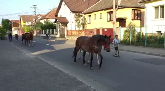 Sibiu, sat frumos! Cai la plimbare prin cartierul Ștrand