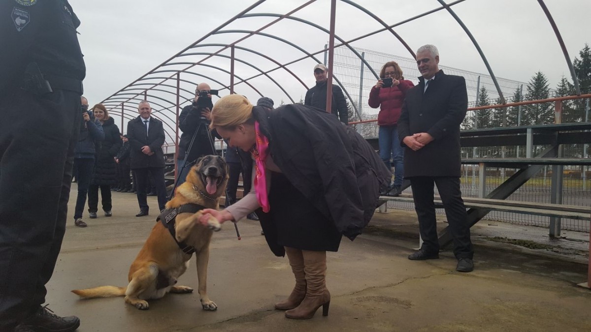 Carmen Dan, Ministrul Internelor: „Polițiștii nu sunt destul de pregătiți”