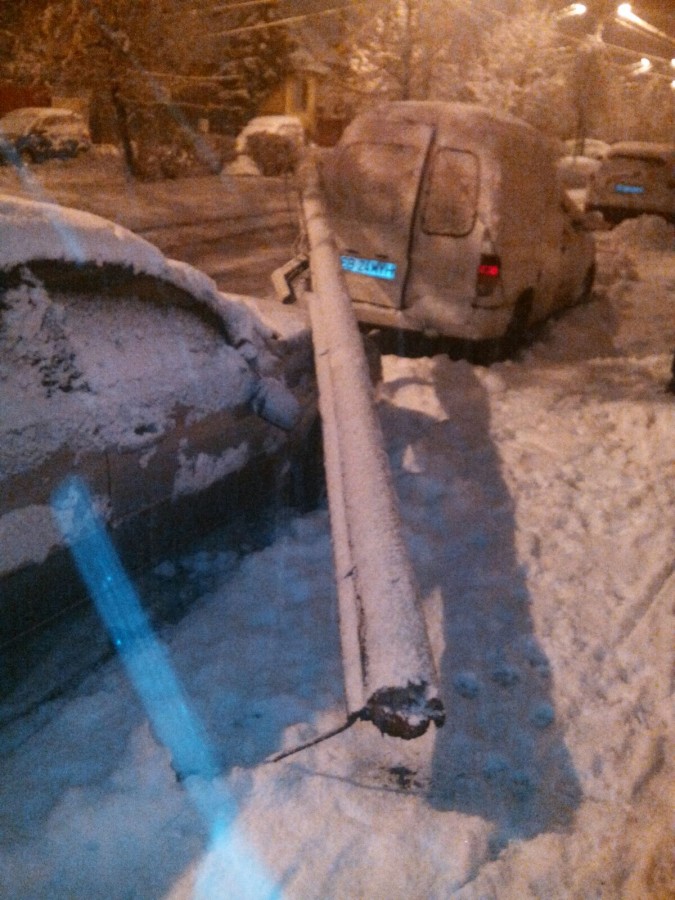 Doi copaci și un stâlp au căzut, la intervale scurte de timp